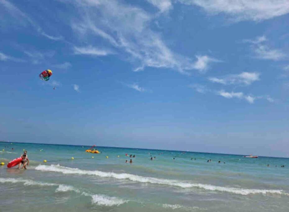 Charming & Spacious Apartment In Historic Centre & Short Walk To Beach Alicante Luaran gambar