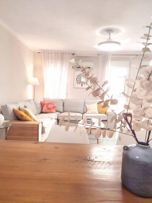 Charming & Spacious Apartment In Historic Centre & Short Walk To Beach Alicante Luaran gambar