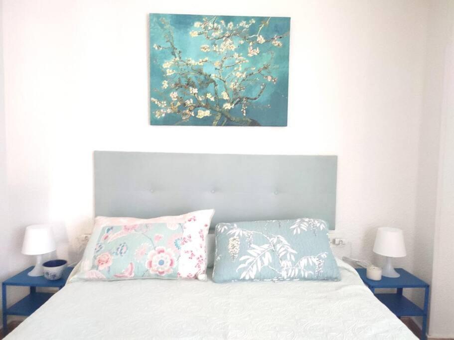 Charming & Spacious Apartment In Historic Centre & Short Walk To Beach Alicante Luaran gambar
